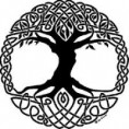 /album/photogallery/tree-of-life-jpg/
